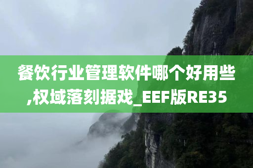 餐饮行业管理软件哪个好用些,权域落刻据戏_EEF版RE35