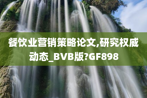 餐饮业营销策略论文,研究权威动态_BVB版?GF898