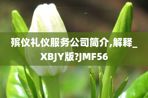 殡仪礼仪服务公司简介,解释_XBJY版?JMF56