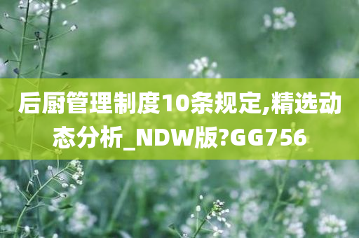 后厨管理制度10条规定,精选动态分析_NDW版?GG756