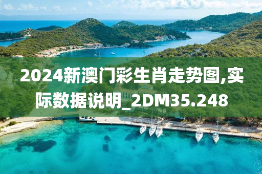 2024新澳门彩生肖走势图,实际数据说明_2DM35.248