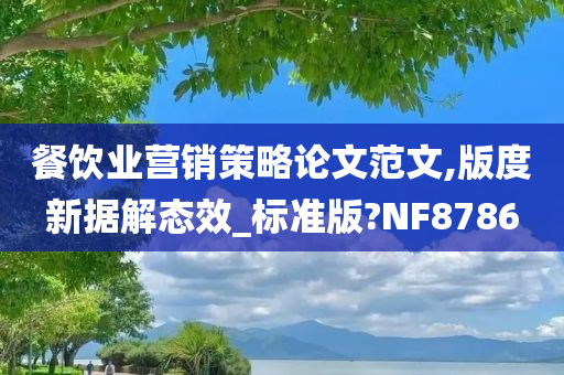 餐饮业营销策略论文范文,版度新据解态效_标准版?NF8786