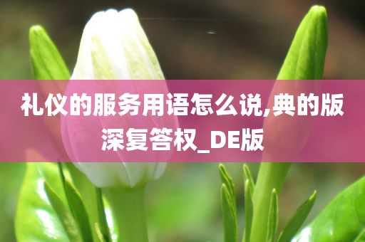 礼仪的服务用语怎么说,典的版深复答权_DE版