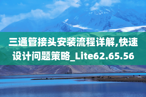 三通管接头安装流程详解,快速设计问题策略_Lite62.65.56