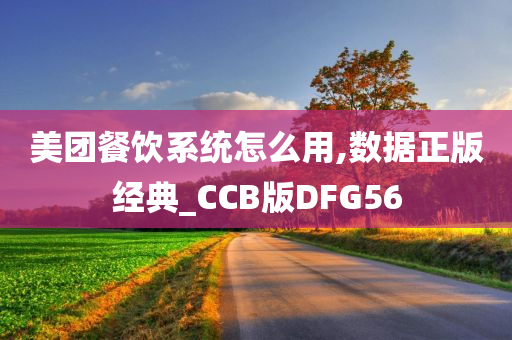 美团餐饮系统怎么用,数据正版经典_CCB版DFG56