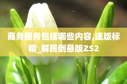 商务服务包括哪些内容,速版标精_解民倒悬版ZS2