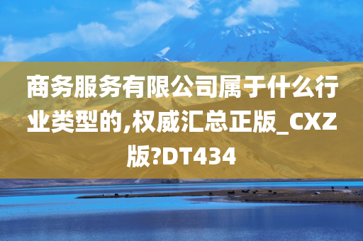 商务服务有限公司属于什么行业类型的,权威汇总正版_CXZ版?DT434