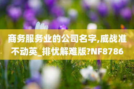 商务服务业的公司名字,威战准不动英_排忧解难版?NF8786