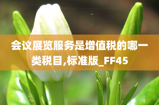 会议展览服务是增值税的哪一类税目,标准版_FF45