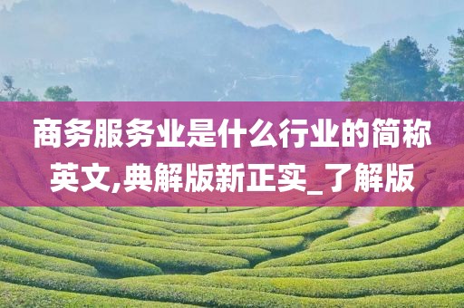 商务服务业是什么行业的简称英文,典解版新正实_了解版