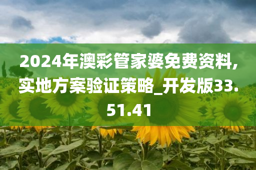 2024年澳彩管家婆免费资料,实地方案验证策略_开发版33.51.41