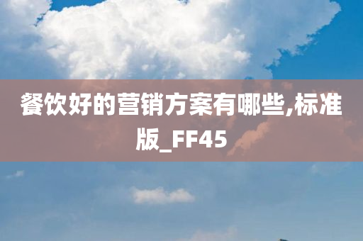 餐饮好的营销方案有哪些,标准版_FF45