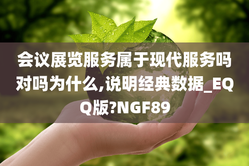 会议展览服务属于现代服务吗对吗为什么,说明经典数据_EQQ版?NGF89