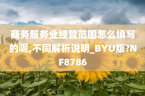 商务服务业经营范围怎么填写的呢,不同解析说明_BYU版?NF8786