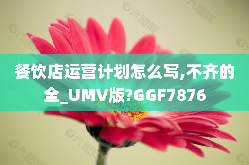 餐饮店运营计划怎么写,不齐的全_UMV版?GGF7876