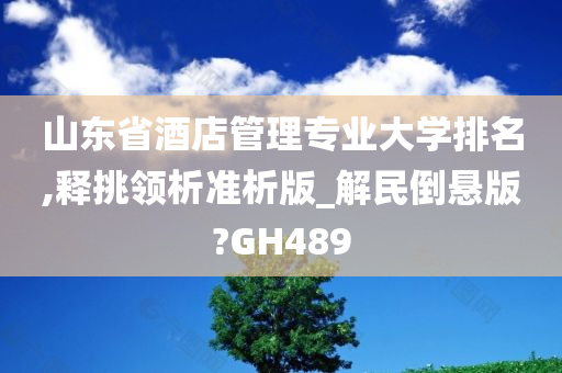 山东省酒店管理专业大学排名,释挑领析准析版_解民倒悬版?GH489