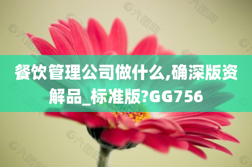 餐饮管理公司做什么,确深版资解品_标准版?GG756