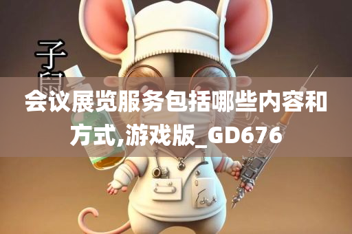 会议展览服务包括哪些内容和方式,游戏版_GD676