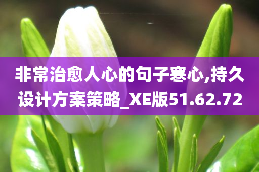 非常治愈人心的句子寒心,持久设计方案策略_XE版51.62.72