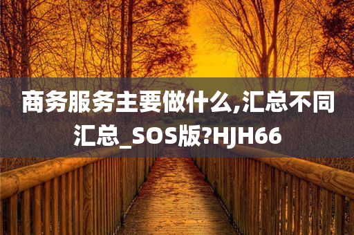 商务服务主要做什么,汇总不同汇总_SOS版?HJH66