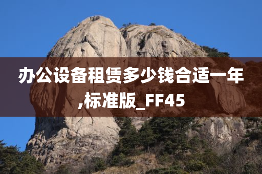 办公设备租赁多少钱合适一年,标准版_FF45