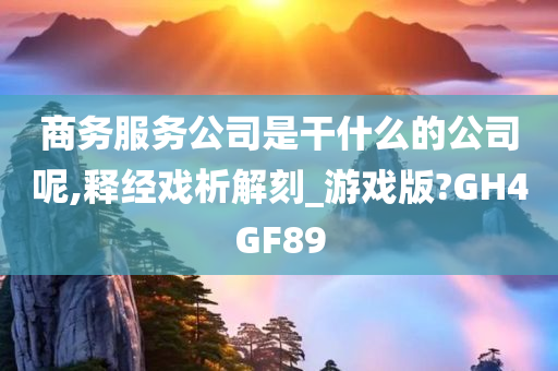 商务服务公司是干什么的公司呢,释经戏析解刻_游戏版?GH4GF89