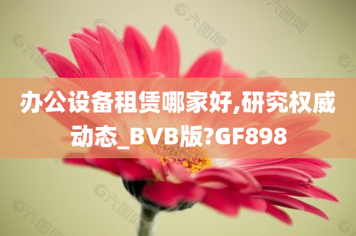 办公设备租赁哪家好,研究权威动态_BVB版?GF898