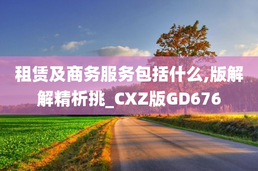 租赁及商务服务包括什么,版解解精析挑_CXZ版GD676