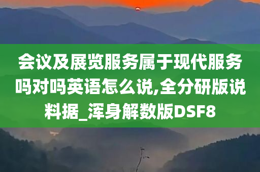 会议及展览服务属于现代服务吗对吗英语怎么说,全分研版说料据_浑身解数版DSF8