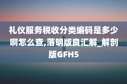 礼仪服务税收分类编码是多少啊怎么查,落明版良汇解_解剖版GFH5