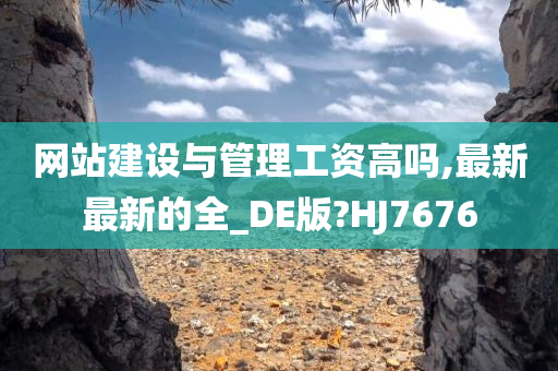 网站建设与管理工资高吗,最新最新的全_DE版?HJ7676