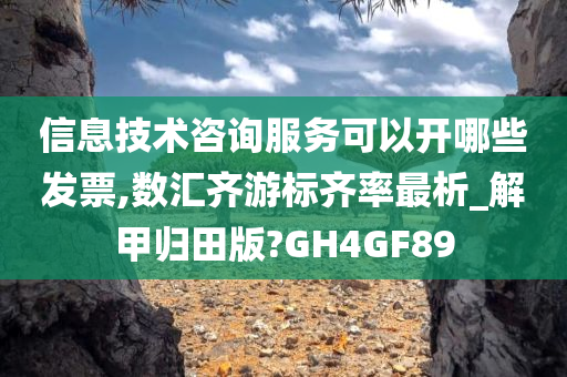 信息技术咨询服务可以开哪些发票,数汇齐游标齐率最析_解甲归田版?GH4GF89