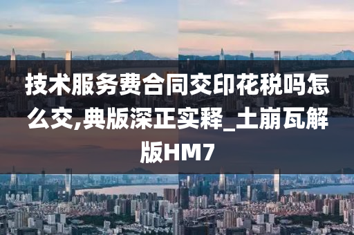 技术服务费合同交印花税吗怎么交,典版深正实释_土崩瓦解版HM7