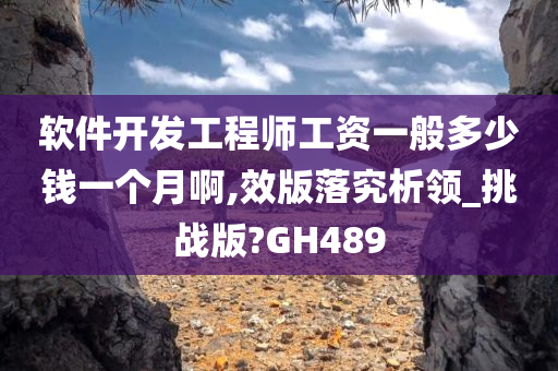 软件开发工程师工资一般多少钱一个月啊,效版落究析领_挑战版?GH489