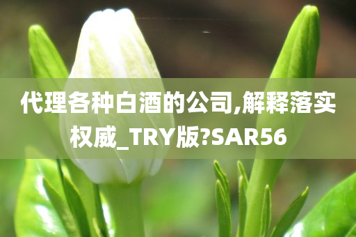 代理各种白酒的公司,解释落实权威_TRY版?SAR56