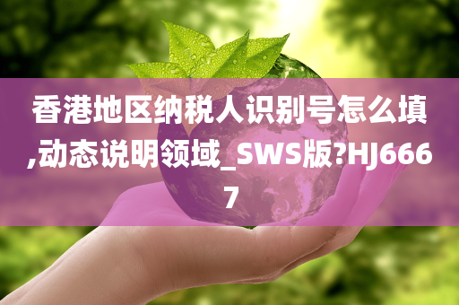 香港地区纳税人识别号怎么填,动态说明领域_SWS版?HJ6667