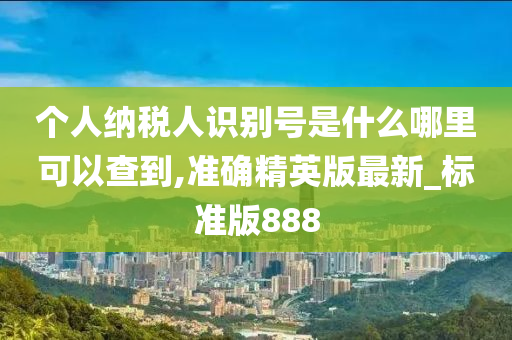 个人纳税人识别号是什么哪里可以查到,准确精英版最新_标准版888