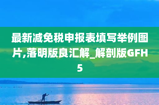 最新减免税申报表填写举例图片,落明版良汇解_解剖版GFH5