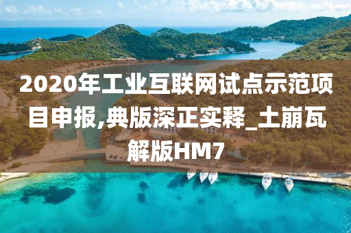 2020年工业互联网试点示范项目申报,典版深正实释_土崩瓦解版HM7