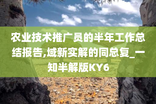 农业技术推广员的半年工作总结报告,域新实解的同总复_一知半解版KY6