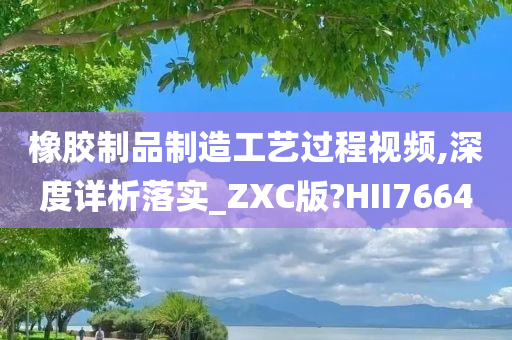 橡胶制品制造工艺过程视频,深度详析落实_ZXC版?HII7664