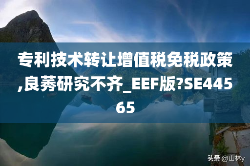 专利技术转让增值税免税政策,良莠研究不齐_EEF版?SE44565