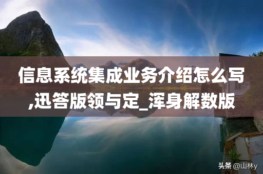 信息系统集成业务介绍怎么写,迅答版领与定_浑身解数版