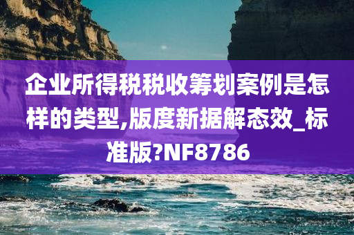 企业所得税税收筹划案例是怎样的类型,版度新据解态效_标准版?NF8786