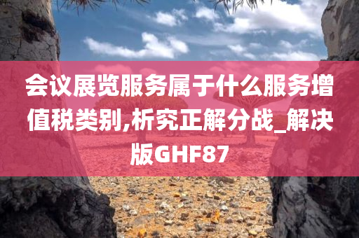 会议展览服务属于什么服务增值税类别,析究正解分战_解决版GHF87