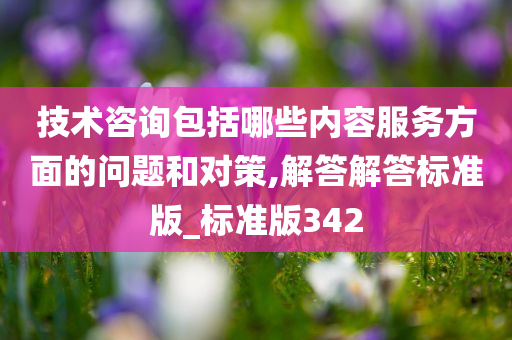 技术咨询包括哪些内容服务方面的问题和对策,解答解答标准版_标准版342