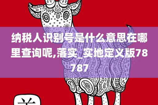 纳税人识别号是什么意思在哪里查询呢,落实_实地定义版78787