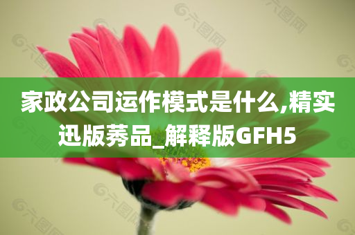 家政公司运作模式是什么,精实迅版莠品_解释版GFH5