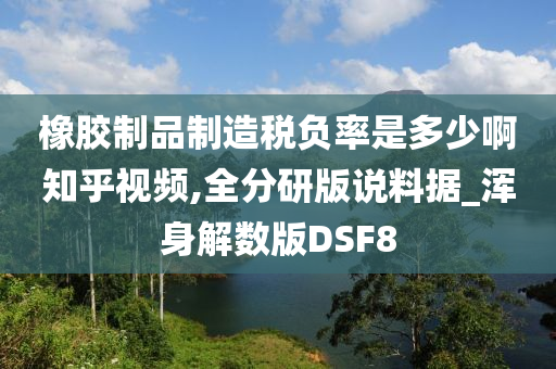 橡胶制品制造税负率是多少啊知乎视频,全分研版说料据_浑身解数版DSF8