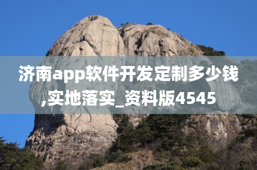 济南app软件开发定制多少钱,实地落实_资料版4545